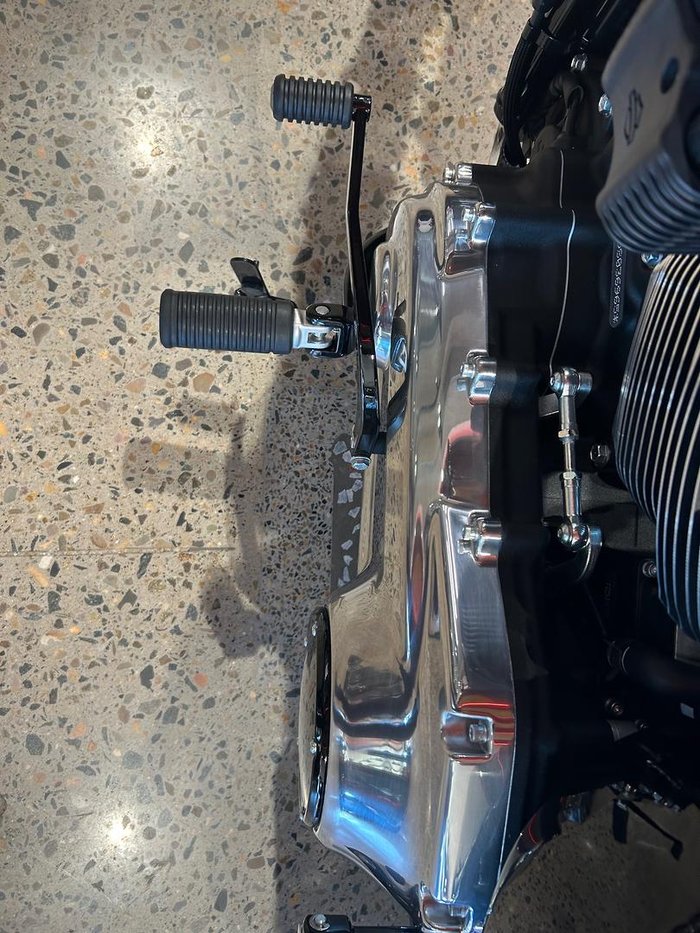 2025 Harley-Davidson Street Bob 117 (FXBB) Softail Purple
