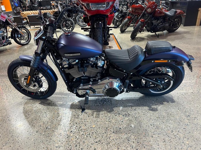 2025 Harley-Davidson Street Bob 117 (FXBB) Softail Purple