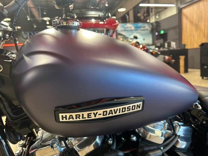 2025 Harley-Davidson Street Bob 117 (FXBB) Softail Purple
