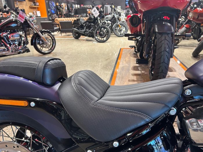 2025 Harley-Davidson Street Bob 117 (FXBB) Softail Purple