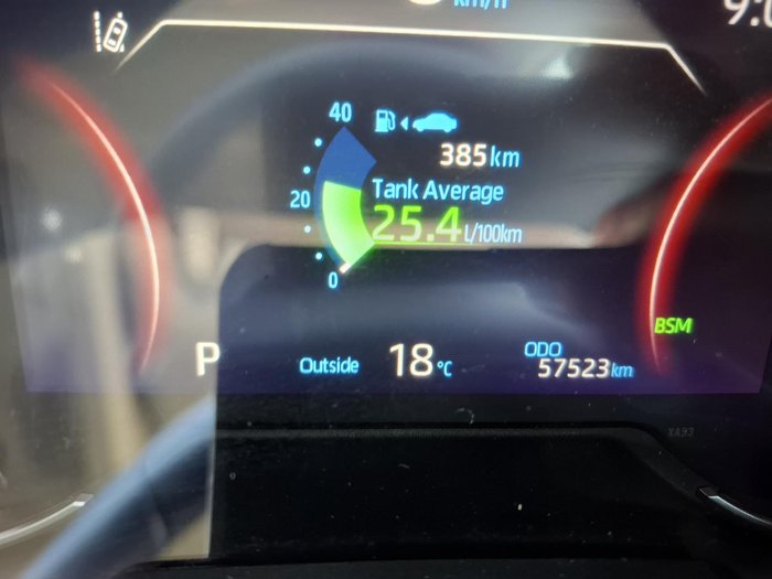 2021 Toyota RAV4 Cruiser