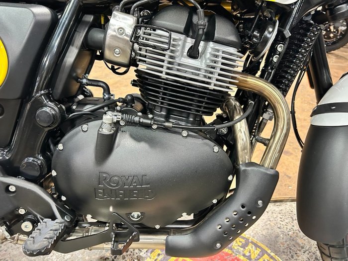 2025 Royal Enfield 2025 ROYAL ENFIELD 650CC INTERCEPTOR BEAR 650 WILD HONEY