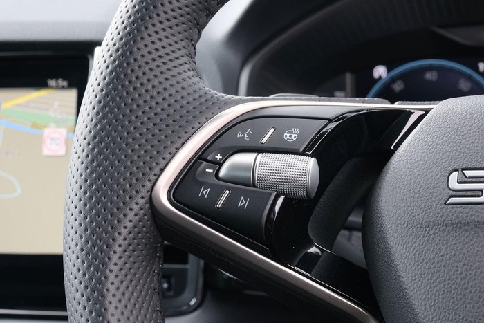 2025 SKODA Karoq 110TSI 130 Years Edition