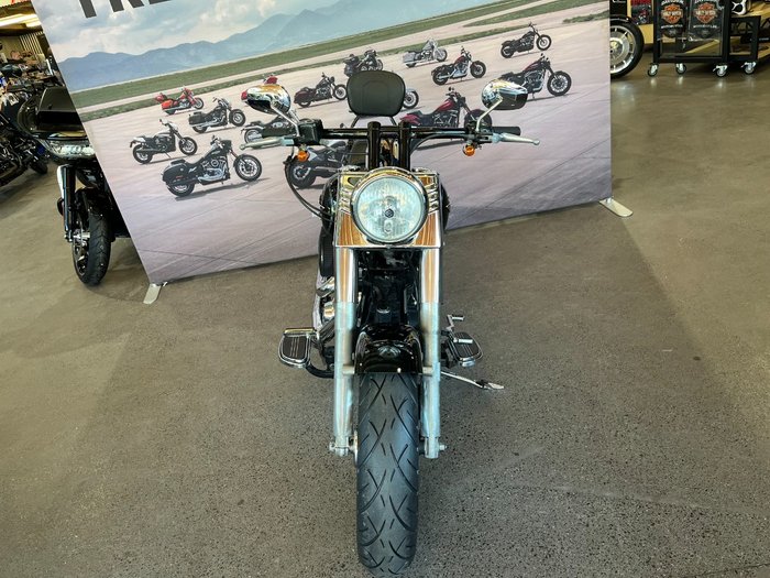 2014 Harley-davidson FLSTFB FAT BOY LO Silver/Black