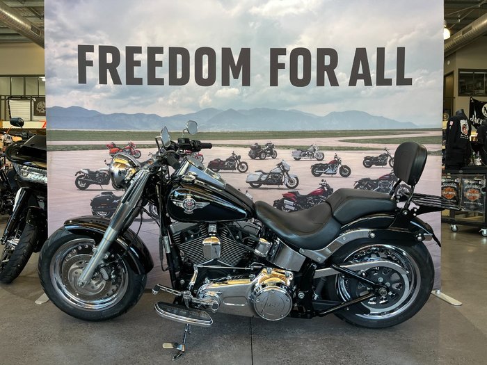 2014 Harley-davidson FLSTFB FAT BOY LO Silver/Black