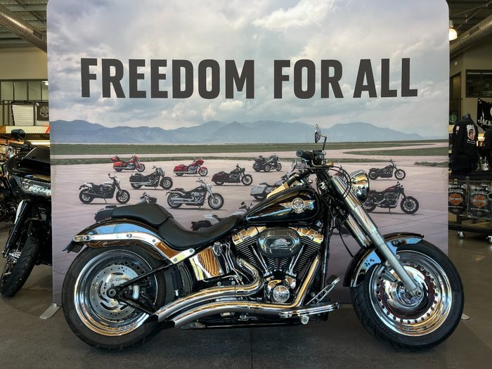 2014 Harley-davidson FLSTFB FAT BOY LO Silver/Black