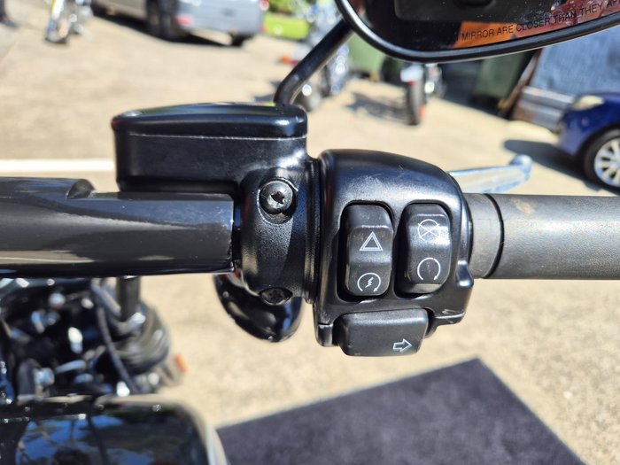 2024 Harley-Davidson Street Bob 114 (FXBBS)