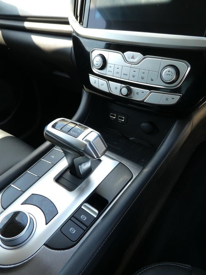 2022 GWM Ute Cannon-X