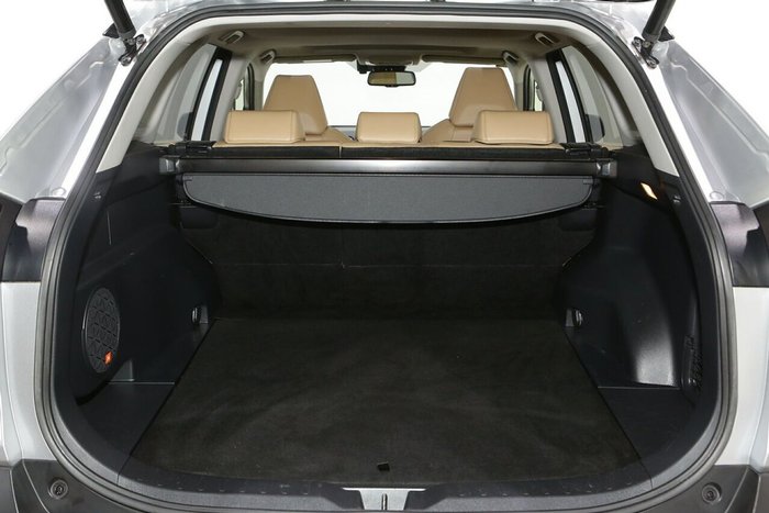 2019 Toyota RAV4 Cruiser