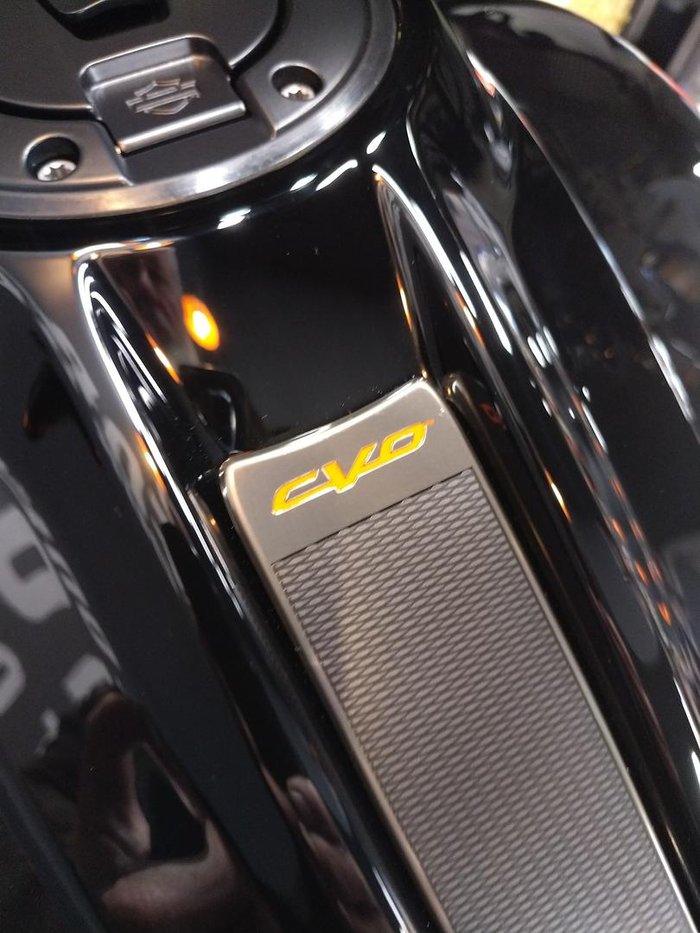 2025 Harley-Davidson CVO Street Glide 121 (FLHXSE) Touring