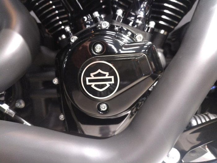 2025 Harley-Davidson Fat Boy 117 (FLFB) Softail Black
