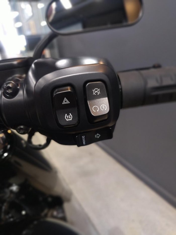 2025 Harley-Davidson Fat Boy 117 (FLFB) Softail Black