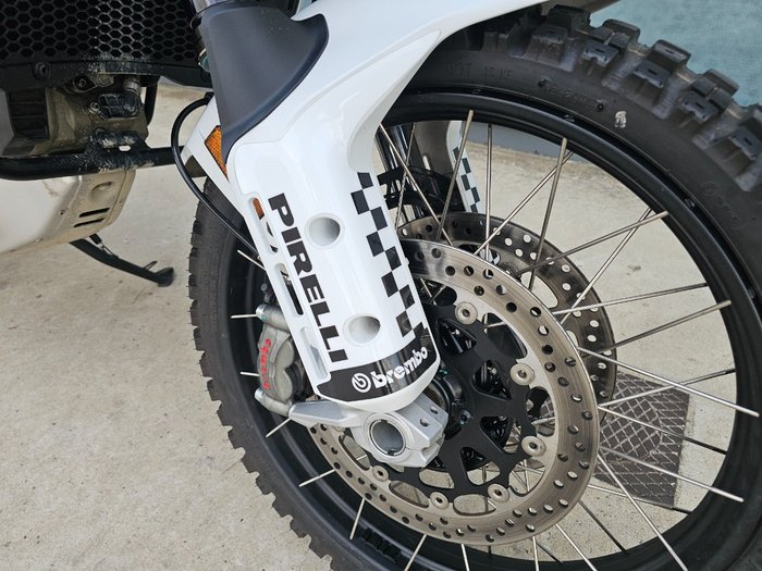 2024 DUCATI DESERTX RALLY White