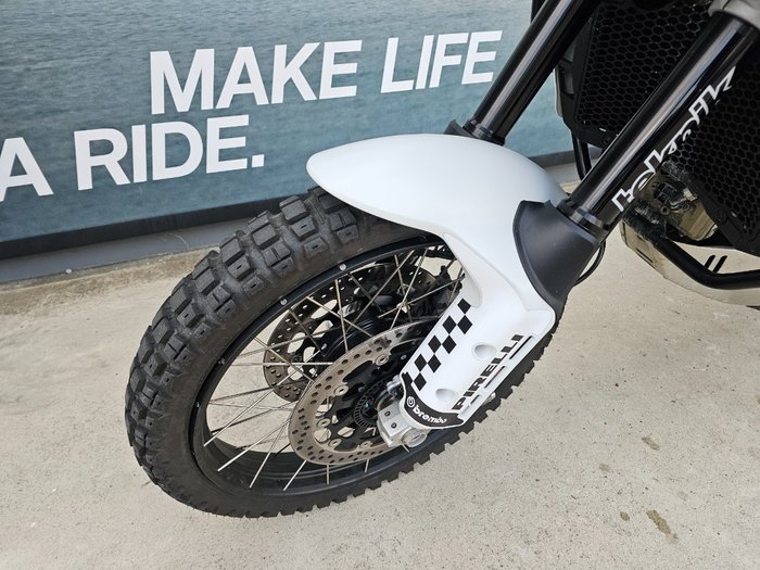 2024 DUCATI DESERTX RALLY White