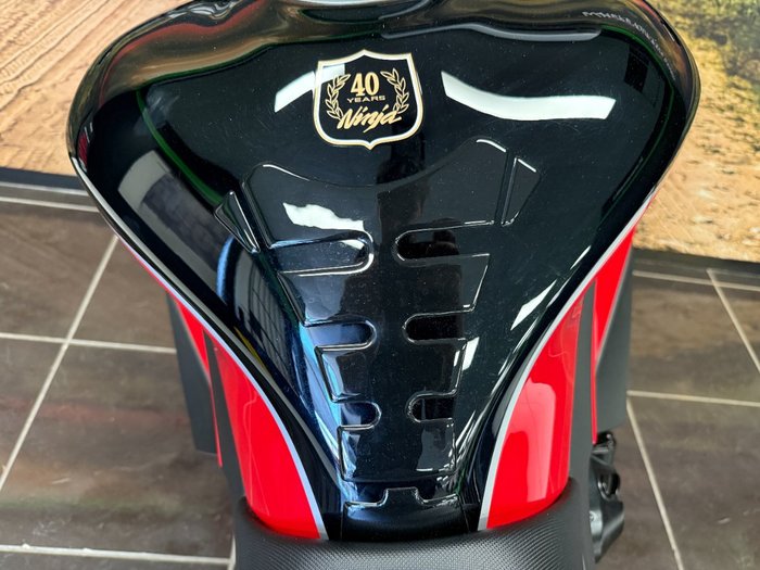 2024 Kawasaki NINJA 1000SX RED