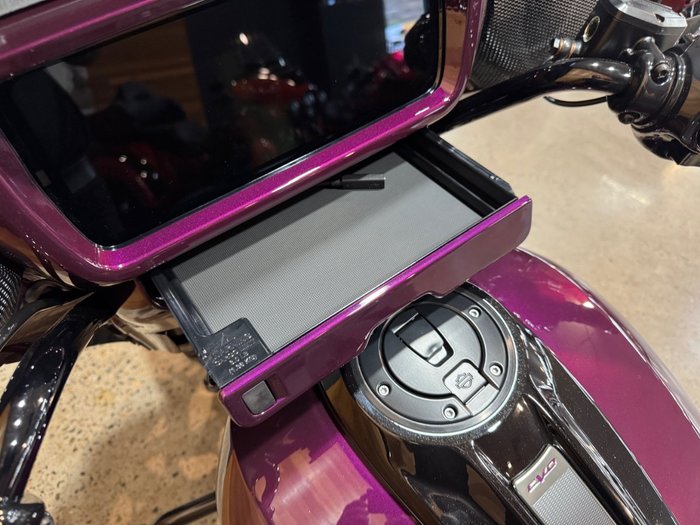 2025 Harley-davidson FLHXSE CVO STREET GLIDE (121) POISON BER