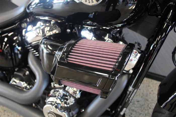 2025 Harley-davidson FLFB FAT BOY (117) VIVID BLACK