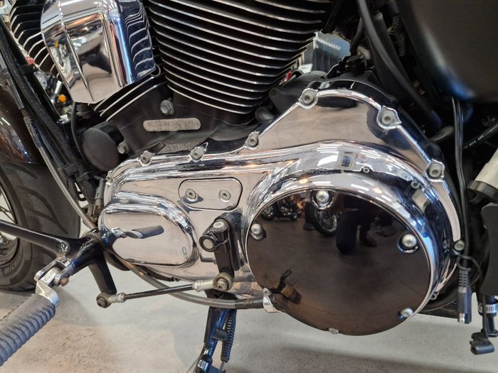 2018 Harley-Davidson XL1200C 1200 CUSTOM BROWN