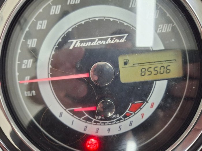 2011 Triumph THUNDERBIRD White