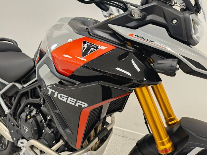 2025 Triumph TIGER 900 RALLY PRO Ash Grey / Intense Orange