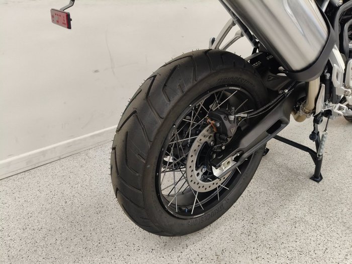 2025 Triumph TIGER 900 RALLY PRO Ash Grey / Intense Orange