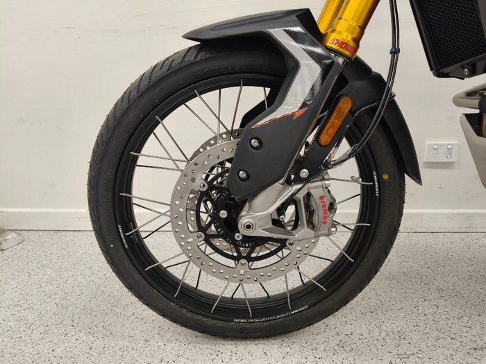 2025 Triumph TIGER 900 RALLY PRO Ash Grey / Intense Orange