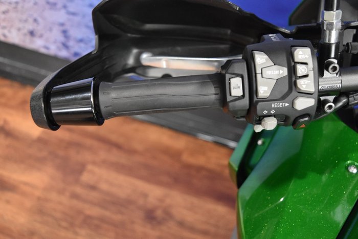 2019 Kawasaki VERSYS 1000 SE (KLZ1000) Green
