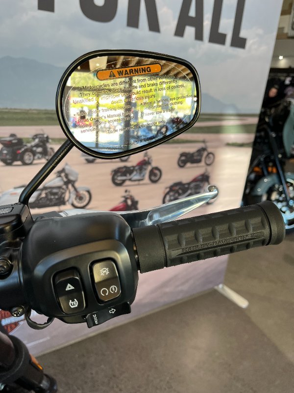 2025 Harley-davidson FXLRS LOW RIDER S (117) Vivid Black