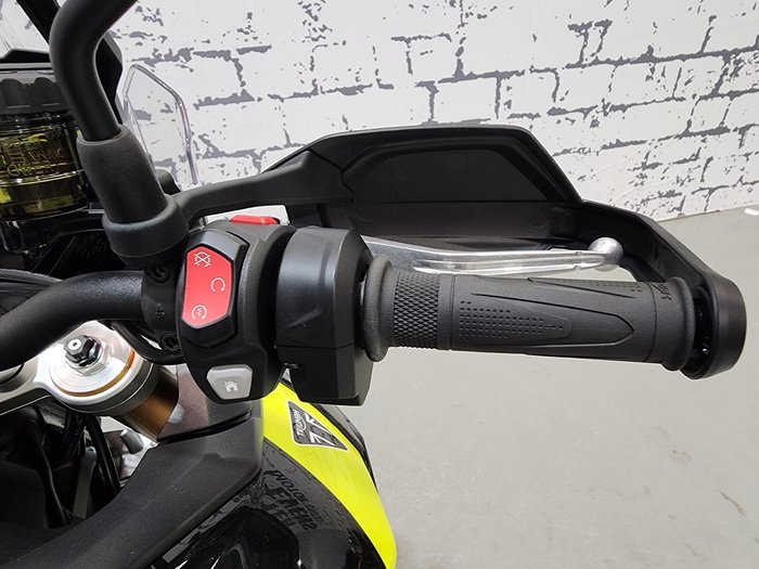 2025 Triumph Tiger 900 Rally Pro Tiger