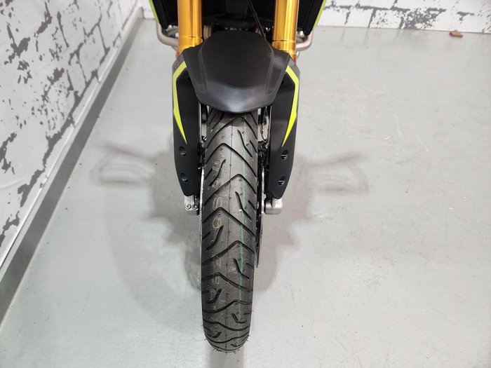 2025 Triumph Tiger 900 Rally Pro Tiger