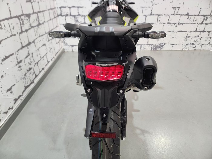 2025 Triumph Tiger 900 Rally Pro Tiger