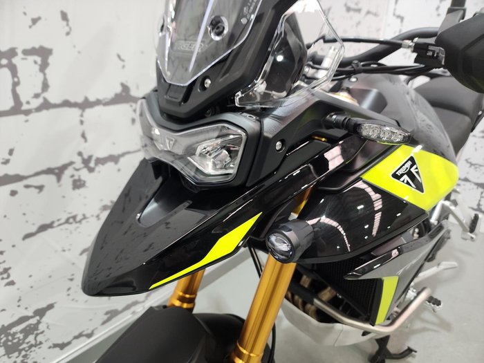 2025 Triumph Tiger 900 Rally Pro Tiger