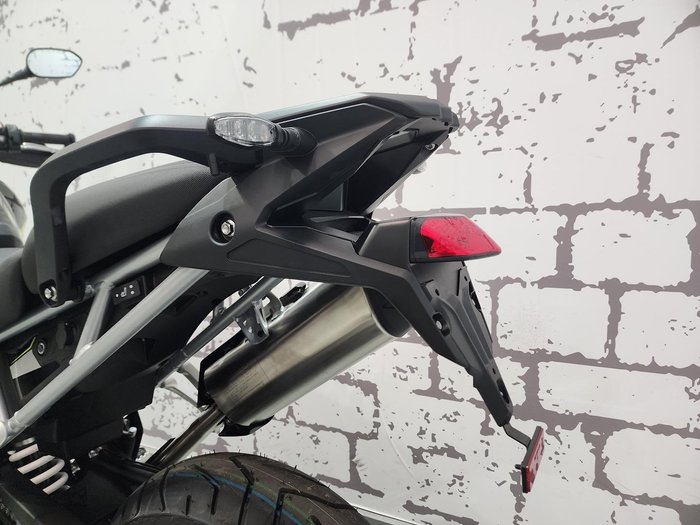 2025 Triumph Tiger 900 Rally Pro Tiger