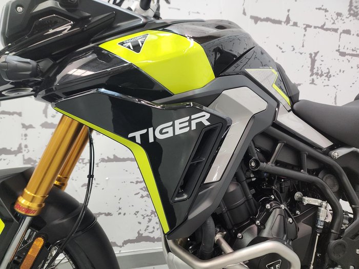 2025 Triumph Tiger 900 Rally Pro Tiger