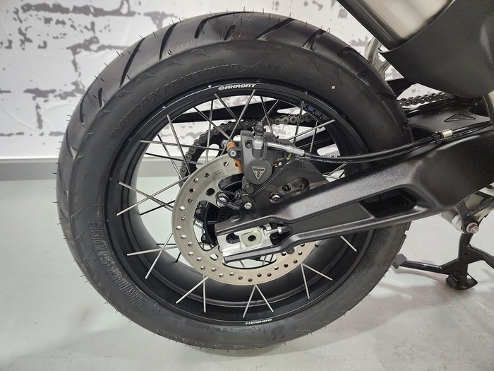 2025 Triumph Tiger 900 Rally Pro Tiger