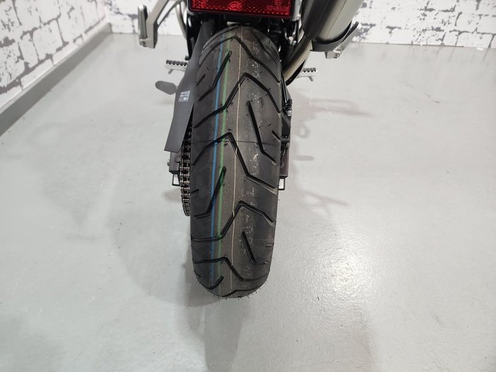 2025 Triumph Tiger 900 Rally Pro Tiger