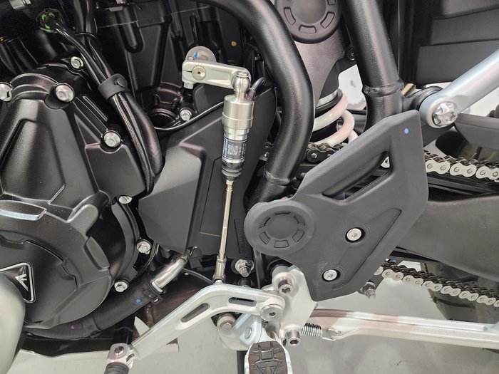 2025 Triumph Tiger 900 Rally Pro Tiger