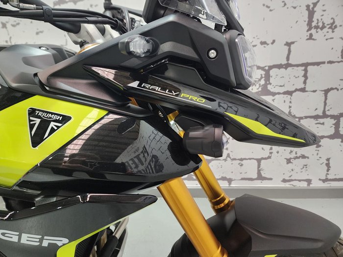 2025 Triumph Tiger 900 Rally Pro Tiger