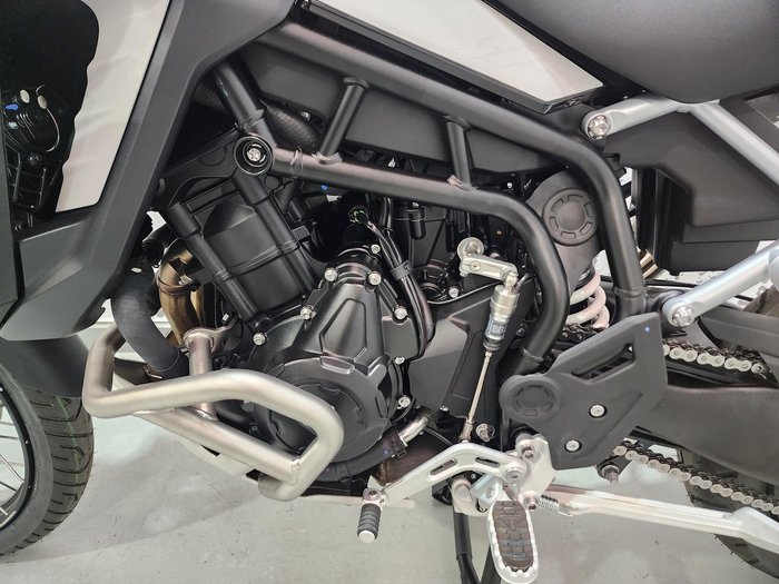 2025 Triumph Tiger 900 Rally Pro Tiger