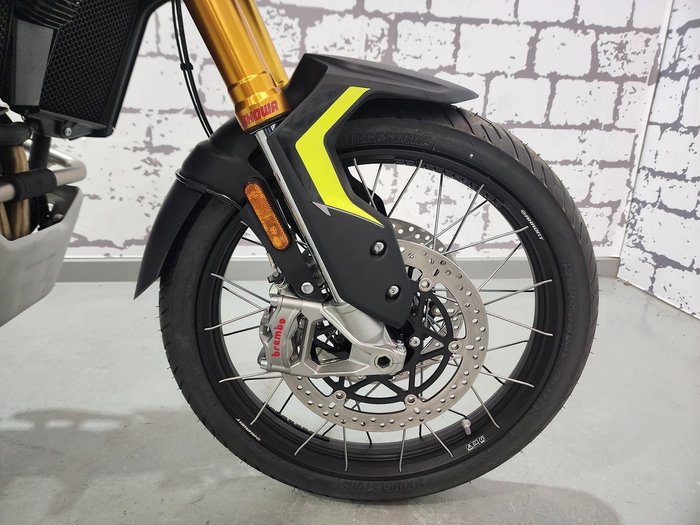 2025 Triumph Tiger 900 Rally Pro Tiger