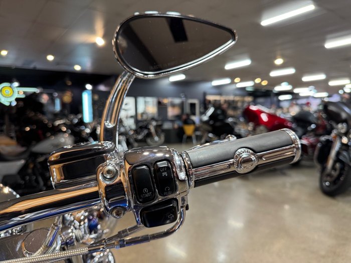 2009 Harley-davidson FLSTN SOFTAIL DELUXE Blue