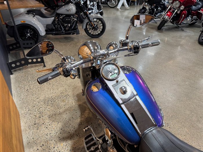 2009 Harley-davidson FLSTN SOFTAIL DELUXE Blue