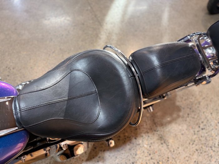 2009 Harley-davidson FLSTN SOFTAIL DELUXE Blue
