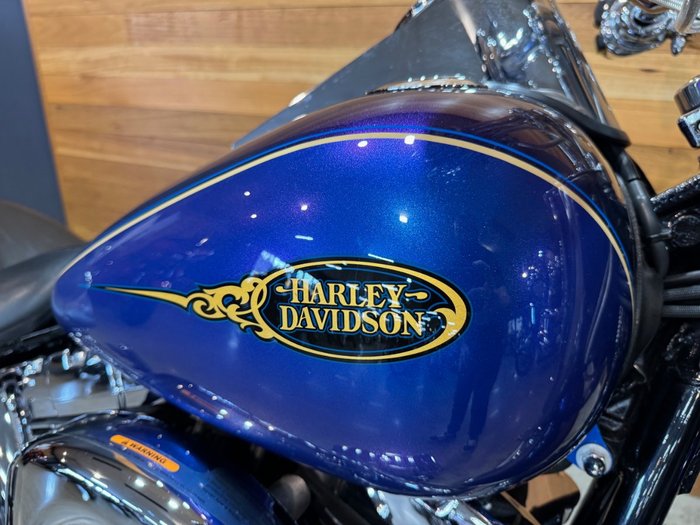 2009 Harley-davidson FLSTN SOFTAIL DELUXE Blue
