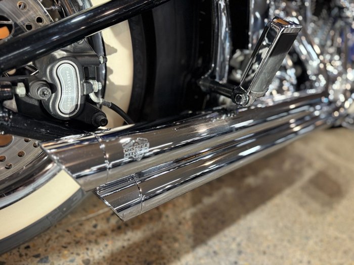 2009 Harley-davidson FLSTN SOFTAIL DELUXE Blue
