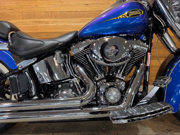 2009 Harley-davidson FLSTN SOFTAIL DELUXE Blue