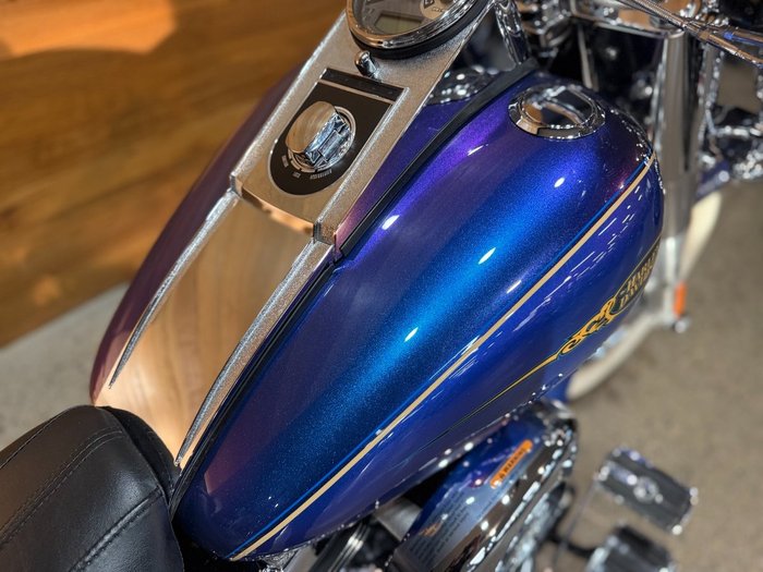 2009 Harley-davidson FLSTN SOFTAIL DELUXE Blue