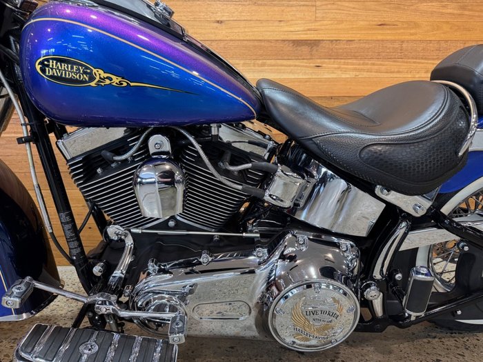 2009 Harley-davidson FLSTN SOFTAIL DELUXE Blue