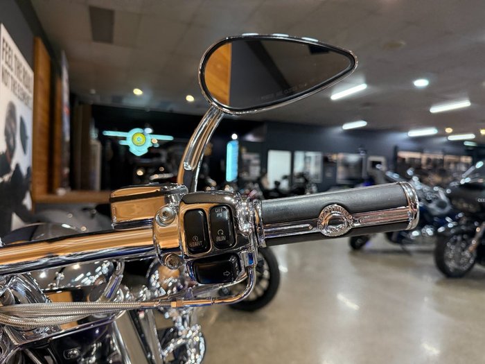 2009 Harley-davidson FLSTN SOFTAIL DELUXE Blue