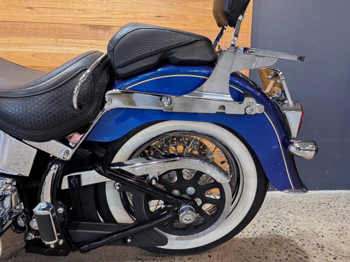 2009 Harley-davidson FLSTN SOFTAIL DELUXE Blue